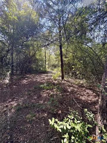 a yard with lots of green space