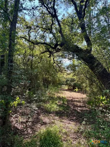 a big yard with lots of green space
