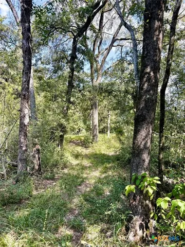 a view of a lake and green space
