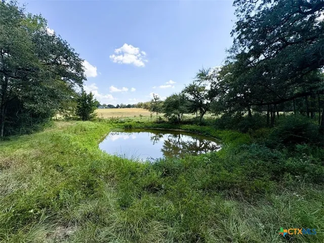 a view of a big yard with a house in the background