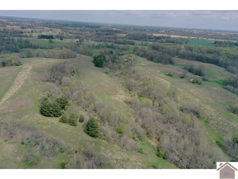 5851 Reuben Road Water Valley, KY 42085 - Photo 10 of 35 Photo 10