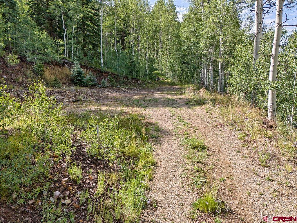 216 South Commercial Street Rico, CO 81332 - Photo 21 of 23 Gallery Image 21
