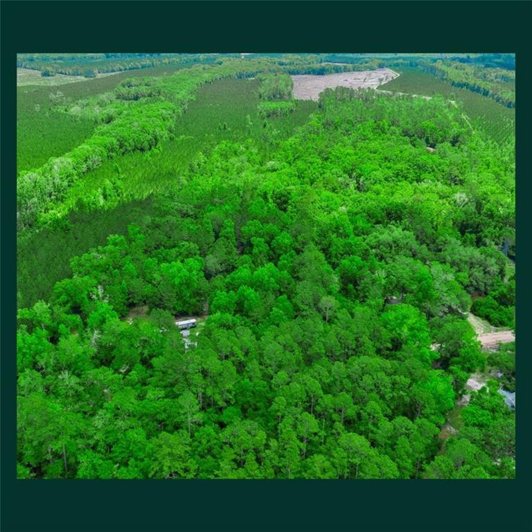 5434 Springhill Road North Folkston, GA 31537 - Photo 11 of 23