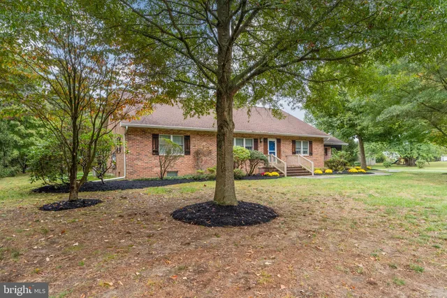 a front view of a house with a yard and a tree