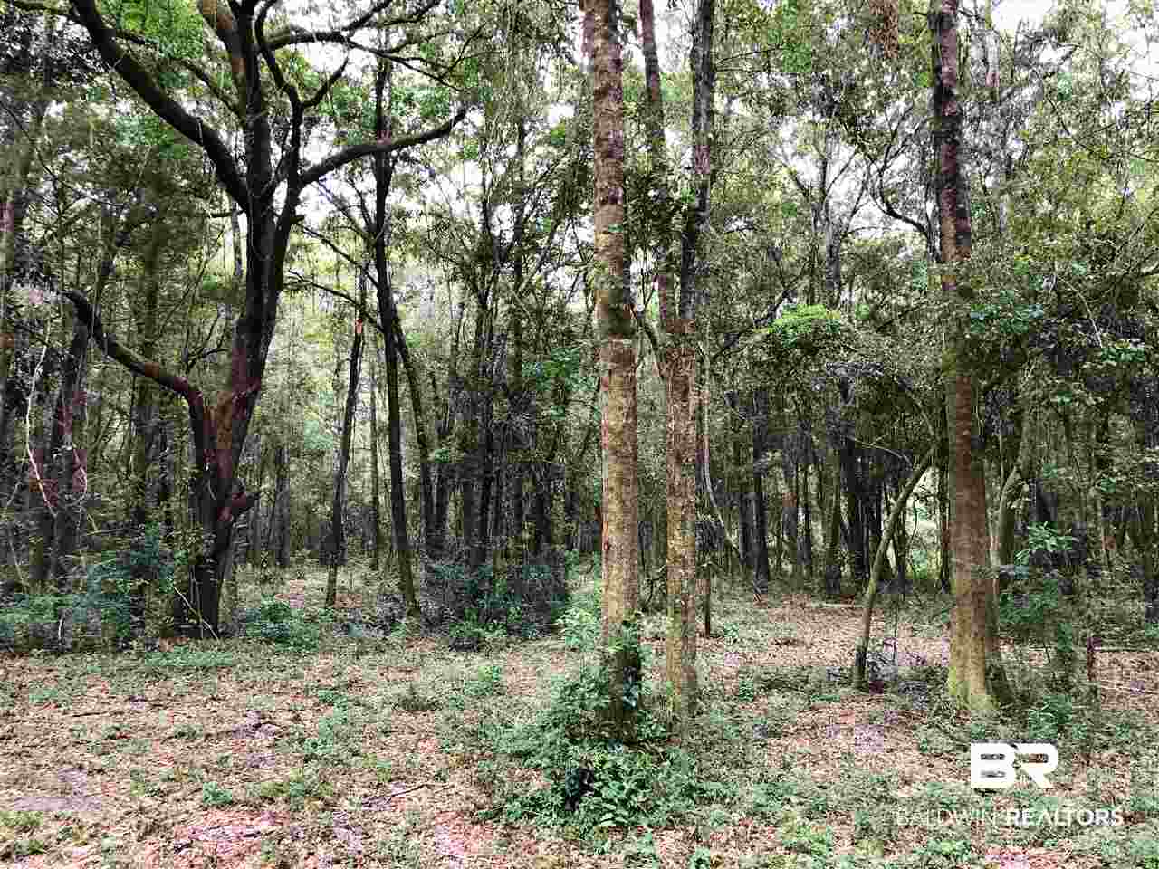 16440 Newman Road Summerdale, AL 36580 - Photo 22 of 29