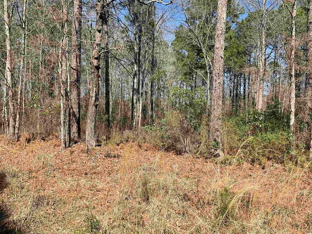 $20,000 | Tbd Florence Lane, Kingstree, SC 29556