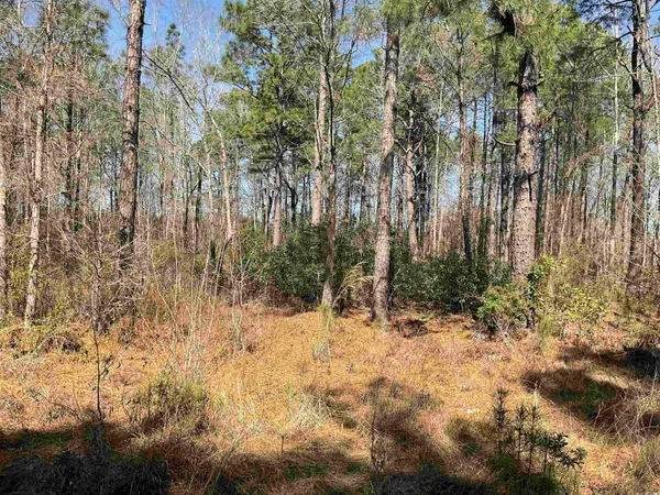 $20,000 | Tbd Florence Lane, Kingstree, SC 29556