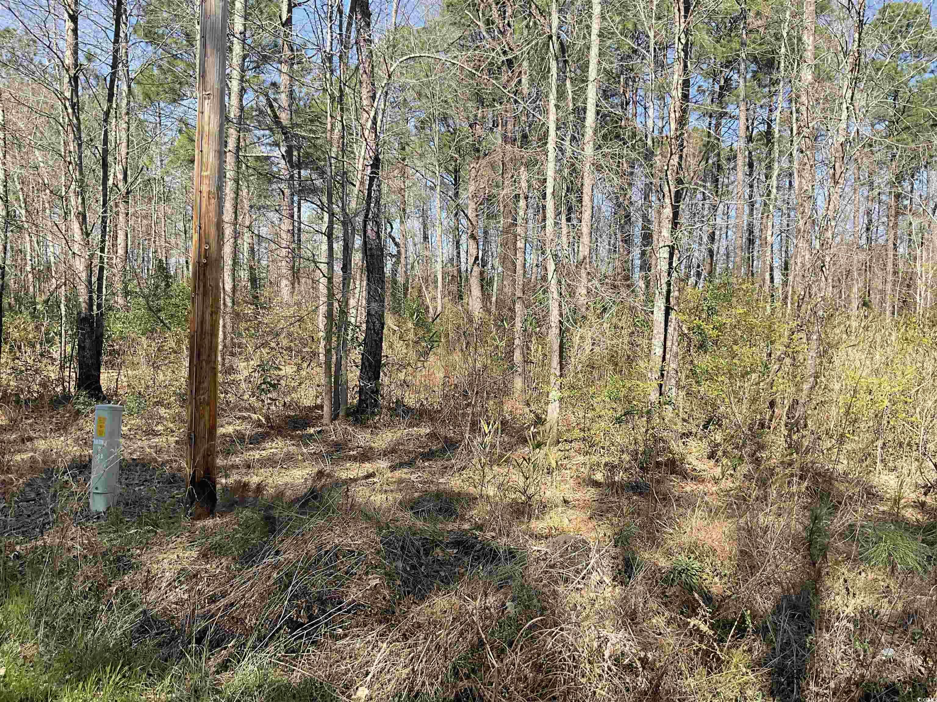 Tbd Florence Lane Kingstree, SC 29556 - Photo 3 of 5