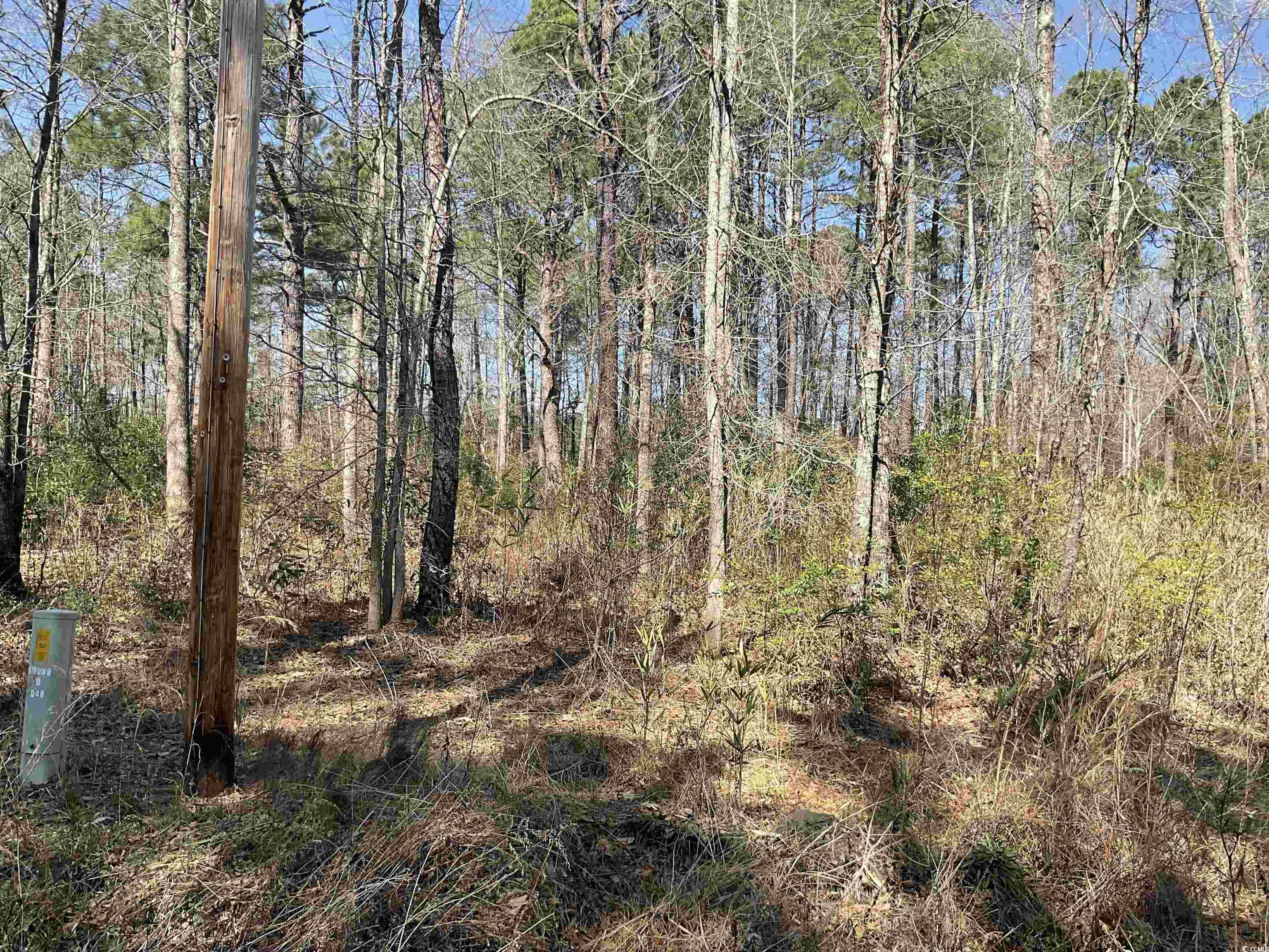 Tbd Florence Lane Kingstree, SC 29556 - Photo 4 of 5