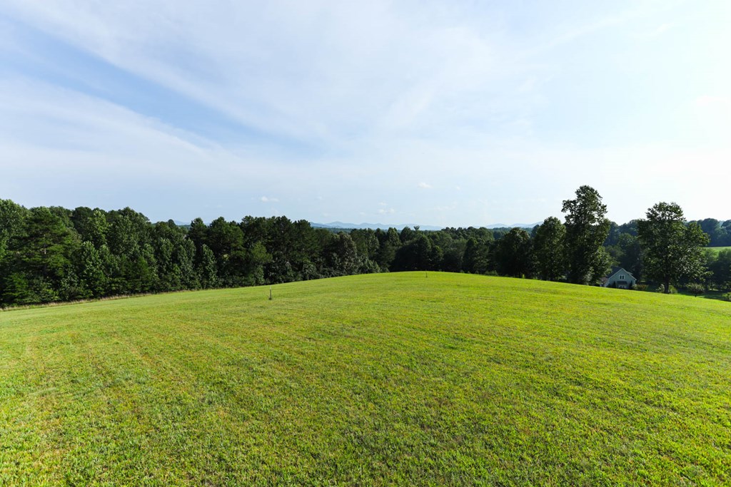 22 Bonney Ridge Road Blairsville, GA 30512 - Photo 11 of 28 Gallery Image 11