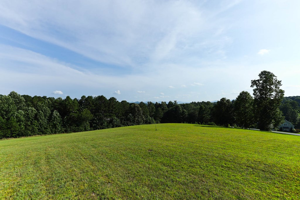 22 Bonney Ridge Road Blairsville, GA 30512 - Photo 15 of 28 Gallery Image 15