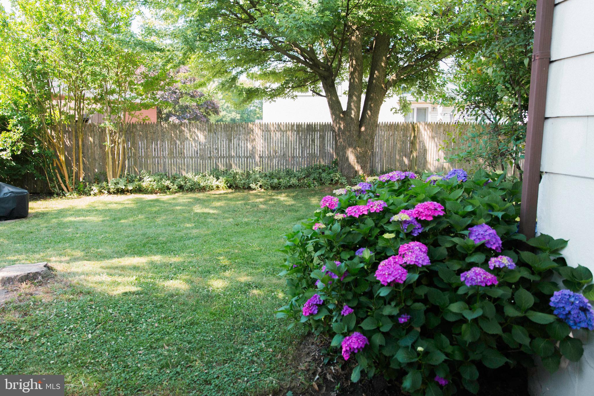 14 Sheldrake Road Newark, DE 19713 - Photo 46 of 58