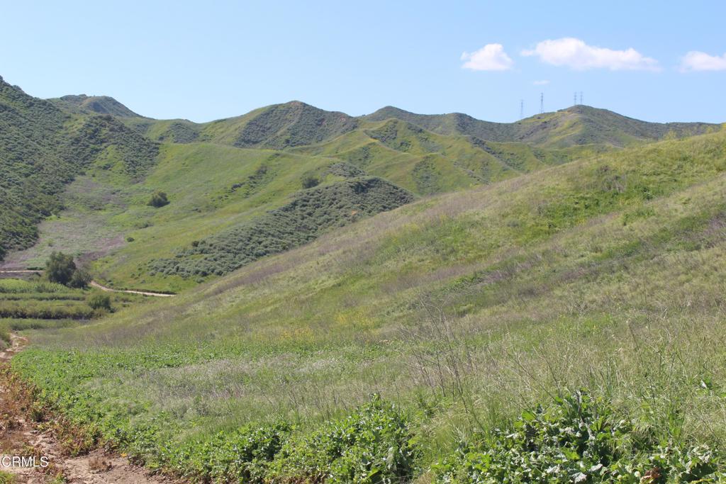0 Dickenson Road Santa Paula, CA 93060 - Photo 22 of 44 IMG_6107