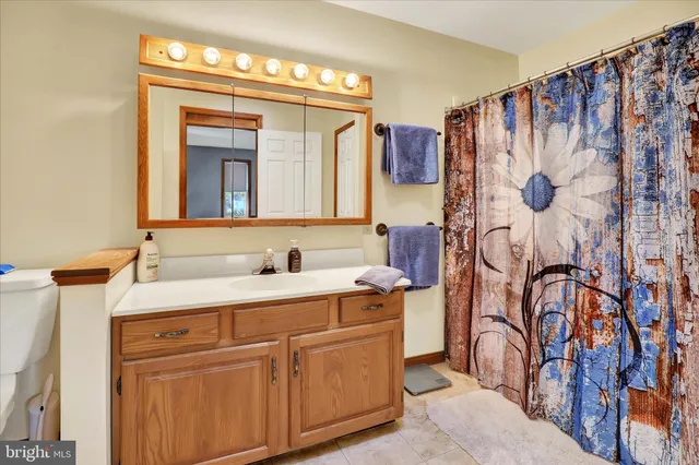a bathroom with a sink a mirror and a shower curtain
