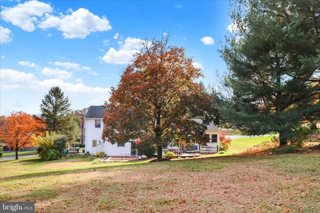 a view of a yard in the middle of a yard