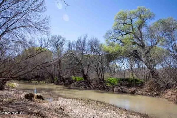 a view of a yard with plants and trees