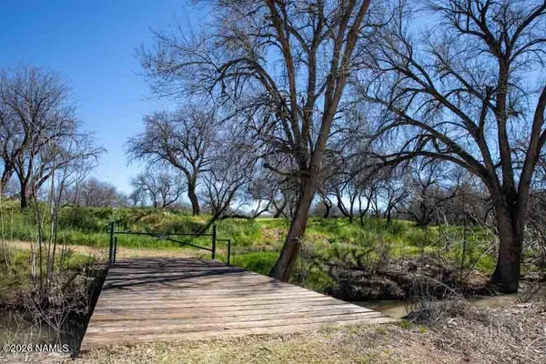 a view of a park with tree s