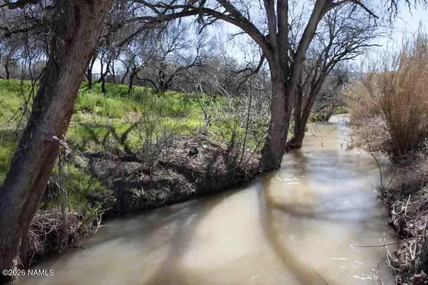 a view of a garden with plants