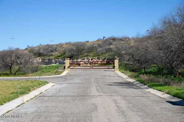 a view of a yard with plants