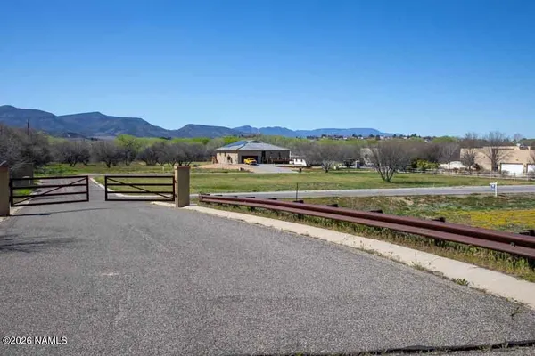 a view of a street with a yard and a large tree