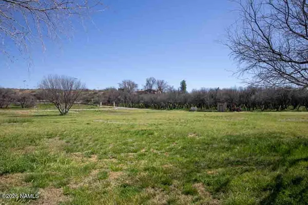 a view of field with trees in the background