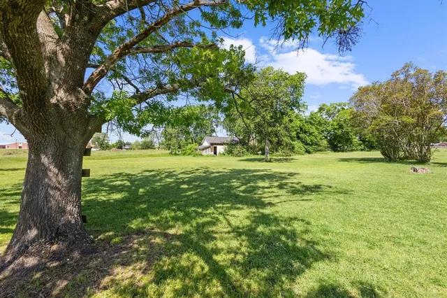 a view of outdoor space with trees all around