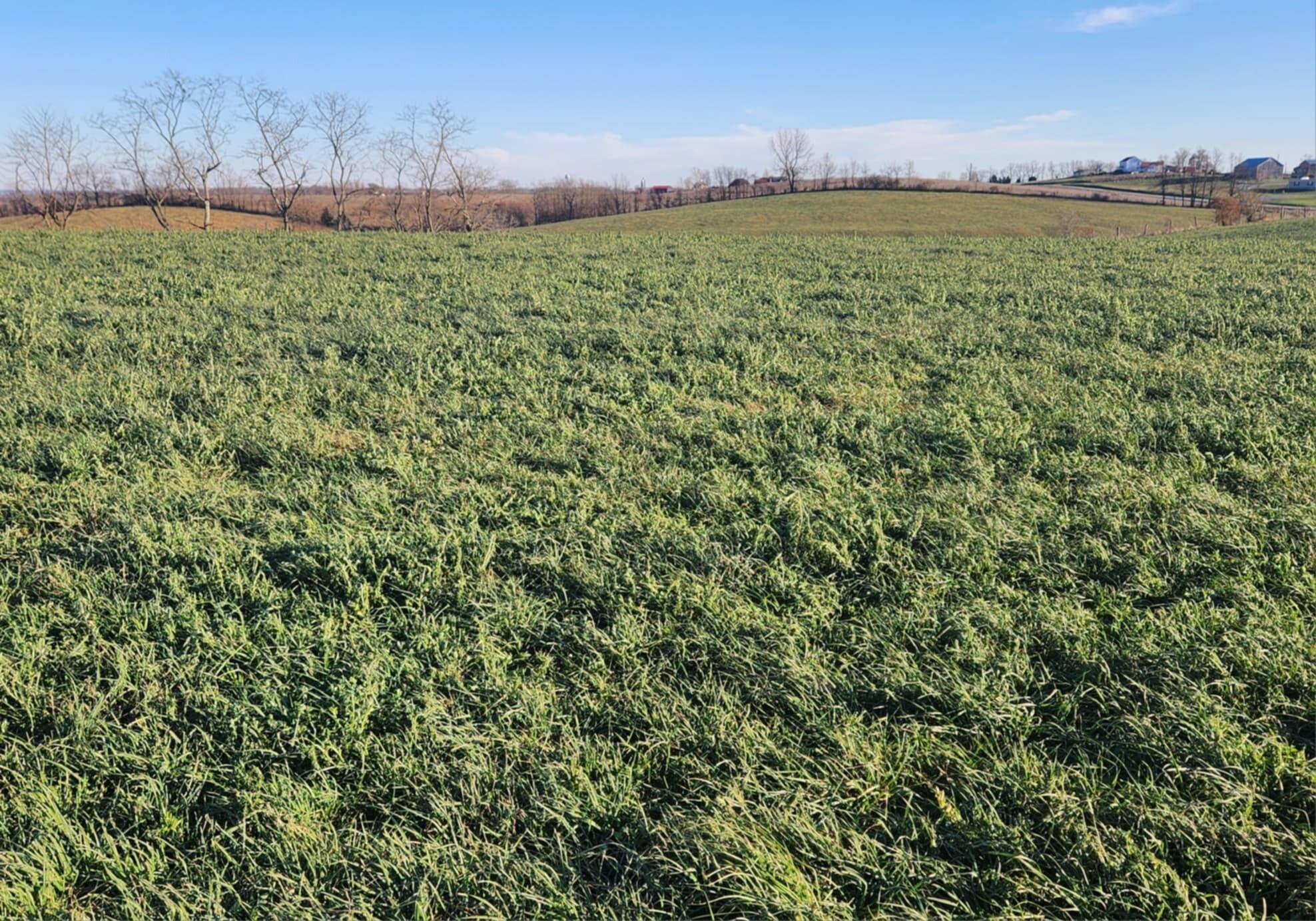 7370 Energy Road Ewing, KY 41039 - Photo 42 of 53 att.s6_ct_jcRPTPHlChis5eZqp0EzvmSWJP1w0b