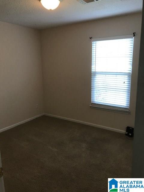 11628 Hagler Coaling Road Cottondale, AL 35453 - Photo 17 of 24