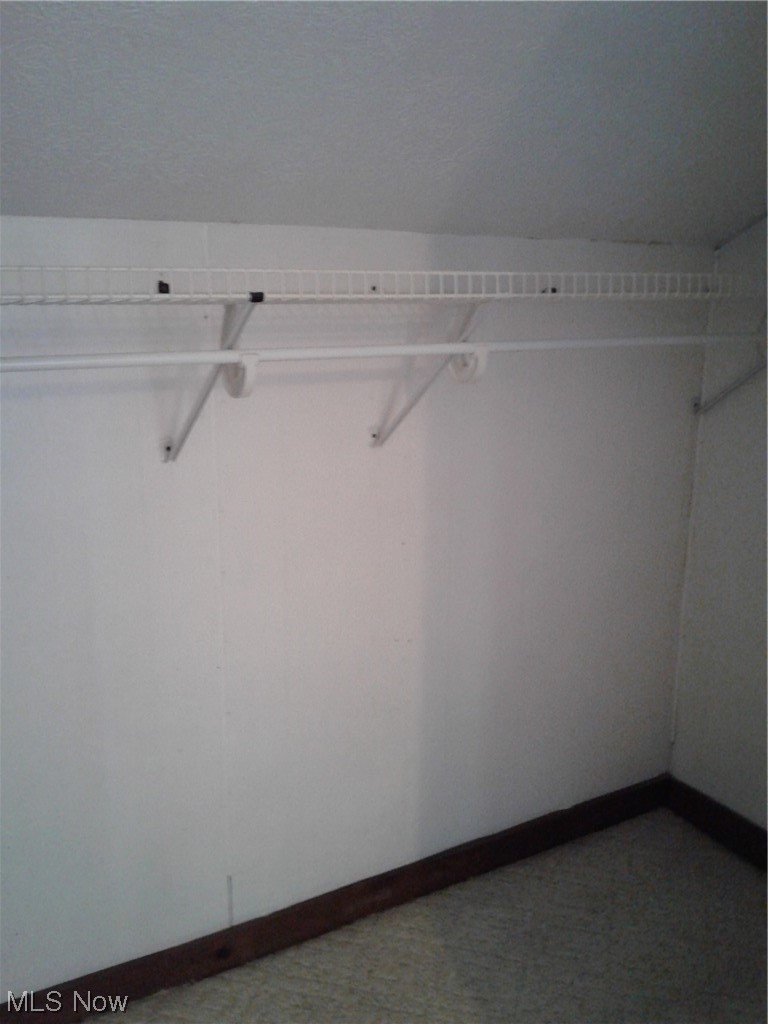 5566 Linn Road Amherst, OH 44001 - Photo 18 of 32 Walk in closet in Hallway.