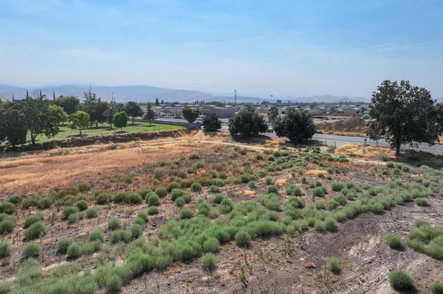 a view of a dry yard