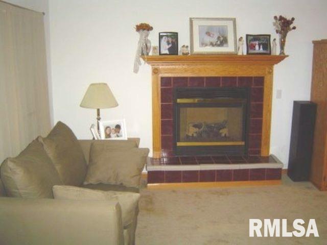 460 Rhonda Road New Liberty, IA 52765 - Photo 5 of 9 Gallery Image 5