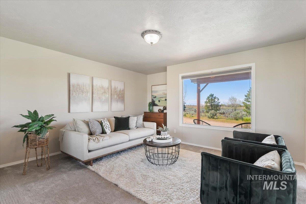 147 East Indian Crk Road Boise, ID 83716 - Photo 13 of 43 Inviting living space featuring soft gray wall tones and plush carpet flooring