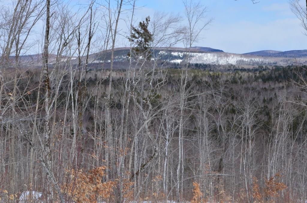 87 Hill Top Road Lakeville, ME 04487 - Photo 7 of 9 Land for Sale in Maine