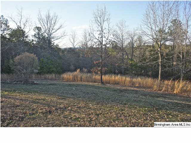 643 Deerfield Road Pell City, AL 35125 - Photo 29 of 31