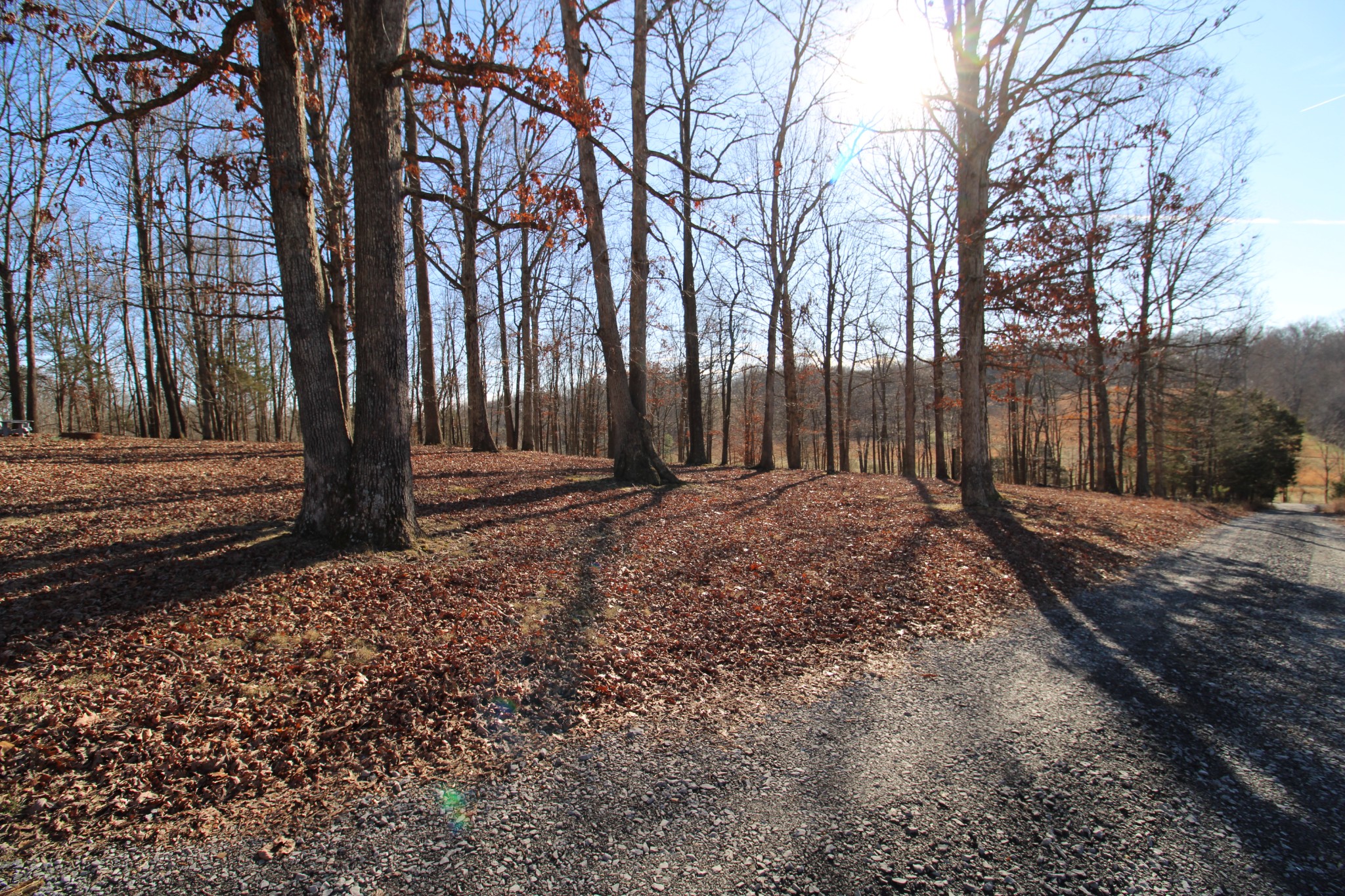 142 Keytown Road Portland, TN 37148 - Photo 37 of 45