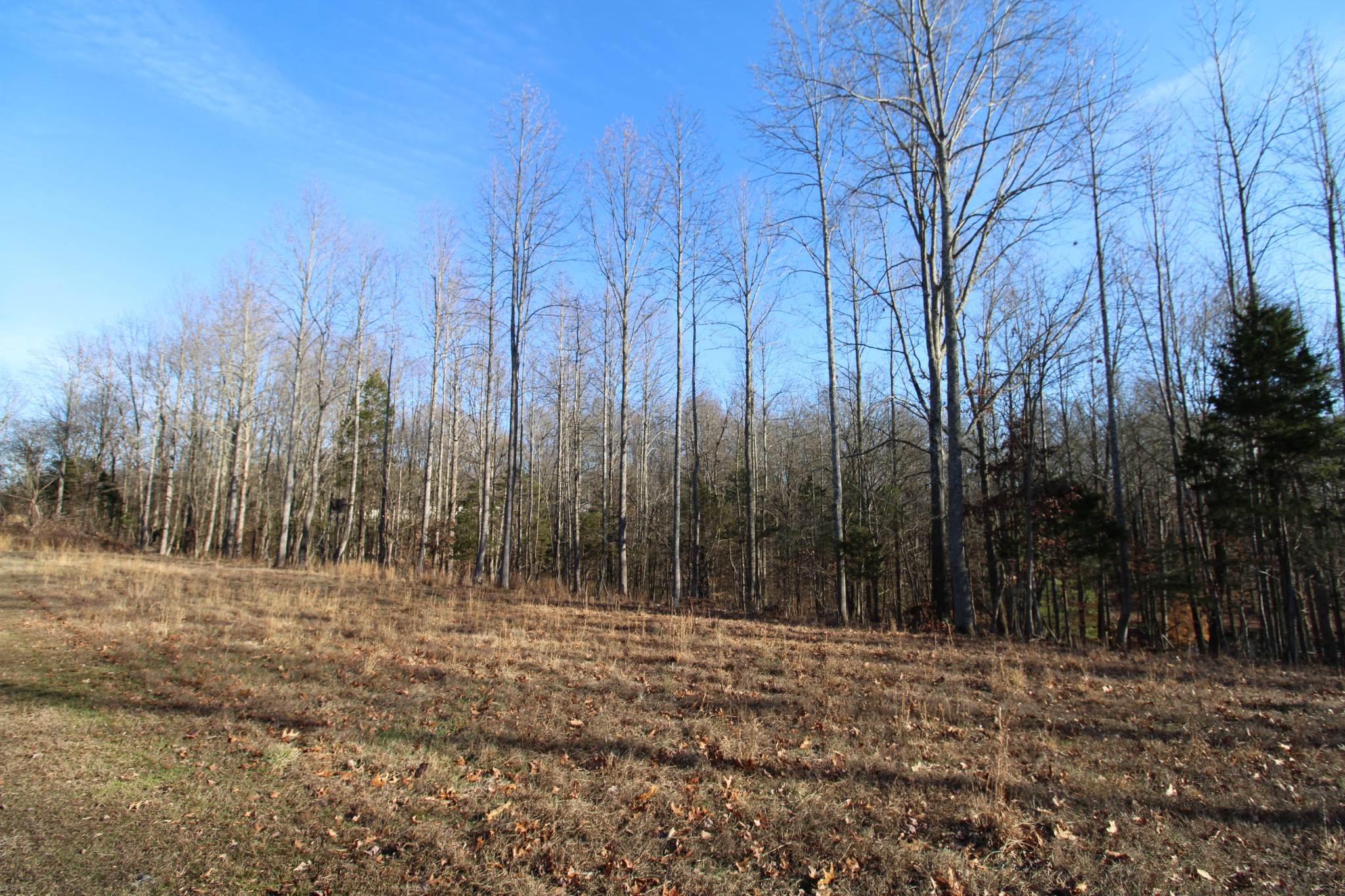 142 Keytown Road Portland, TN 37148 - Photo 44 of 45