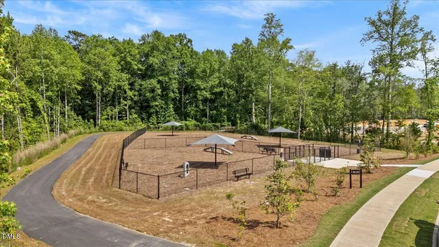 a view of a backyard with a tree