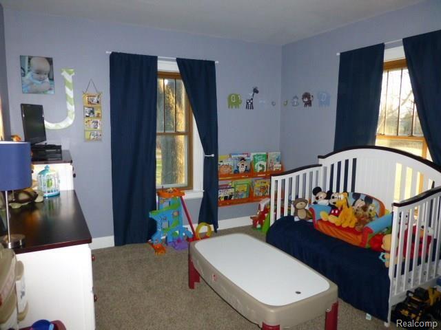 8395 Shaw Road Imlay City, MI 48444 - Photo 40 of 58 P1010822.jpg