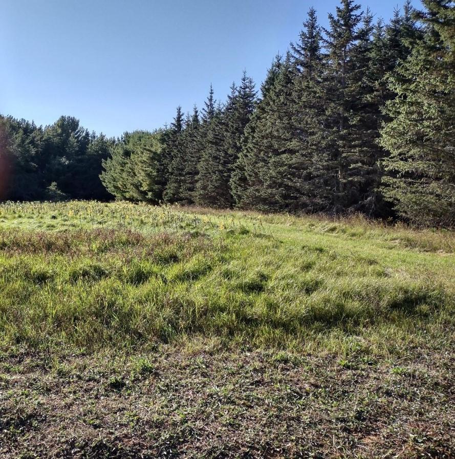 On Limber Lost Road Rhinelander, WI 54501 - Photo 1 of 13 Gallery Image 1