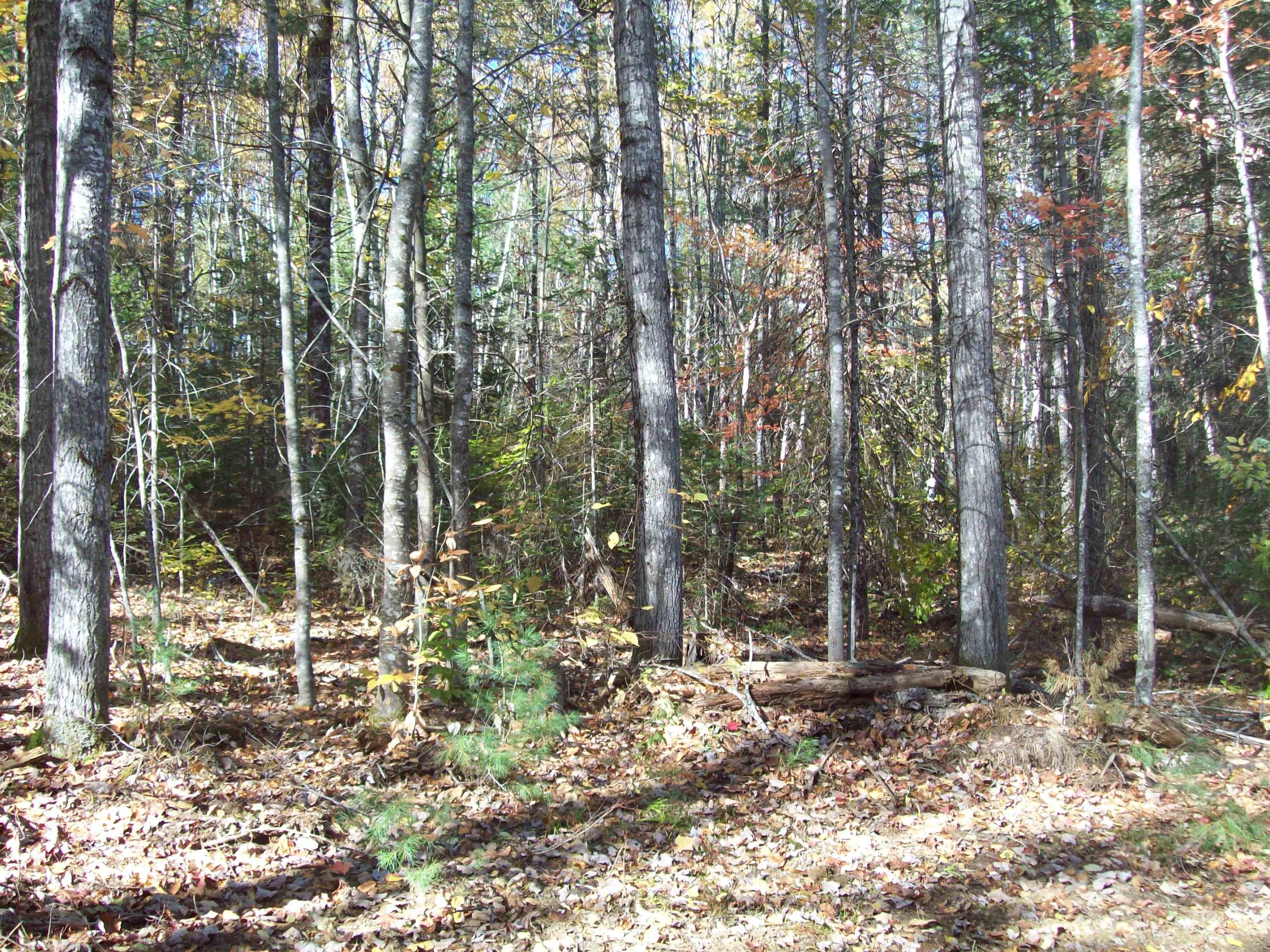 Tbd Ames Road Lee, ME 04455 - Photo 20 of 21 100_1401