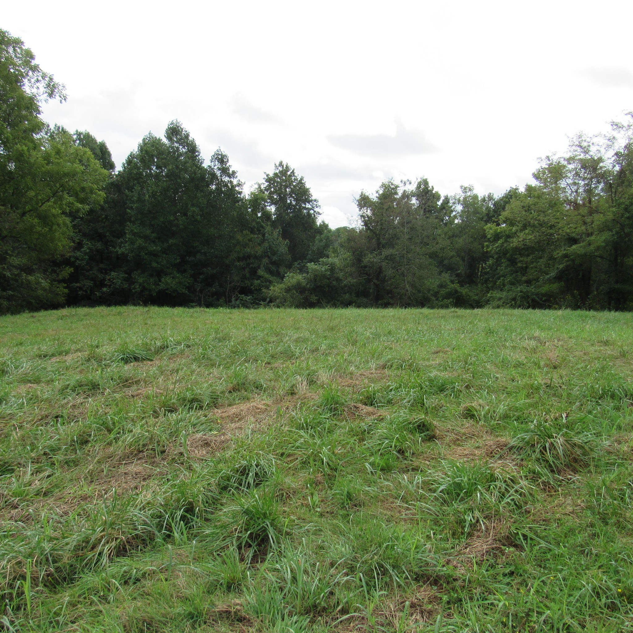 462 Pea Ridge Road Chestnut Mound, TN 38552 - Photo 12 of 14 Gallery Image 12