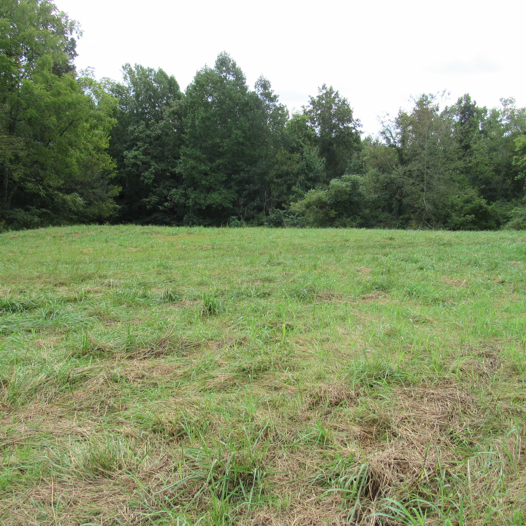462 Pea Ridge Road Chestnut Mound, TN 38552 - Photo 13 of 14 Gallery Image 13