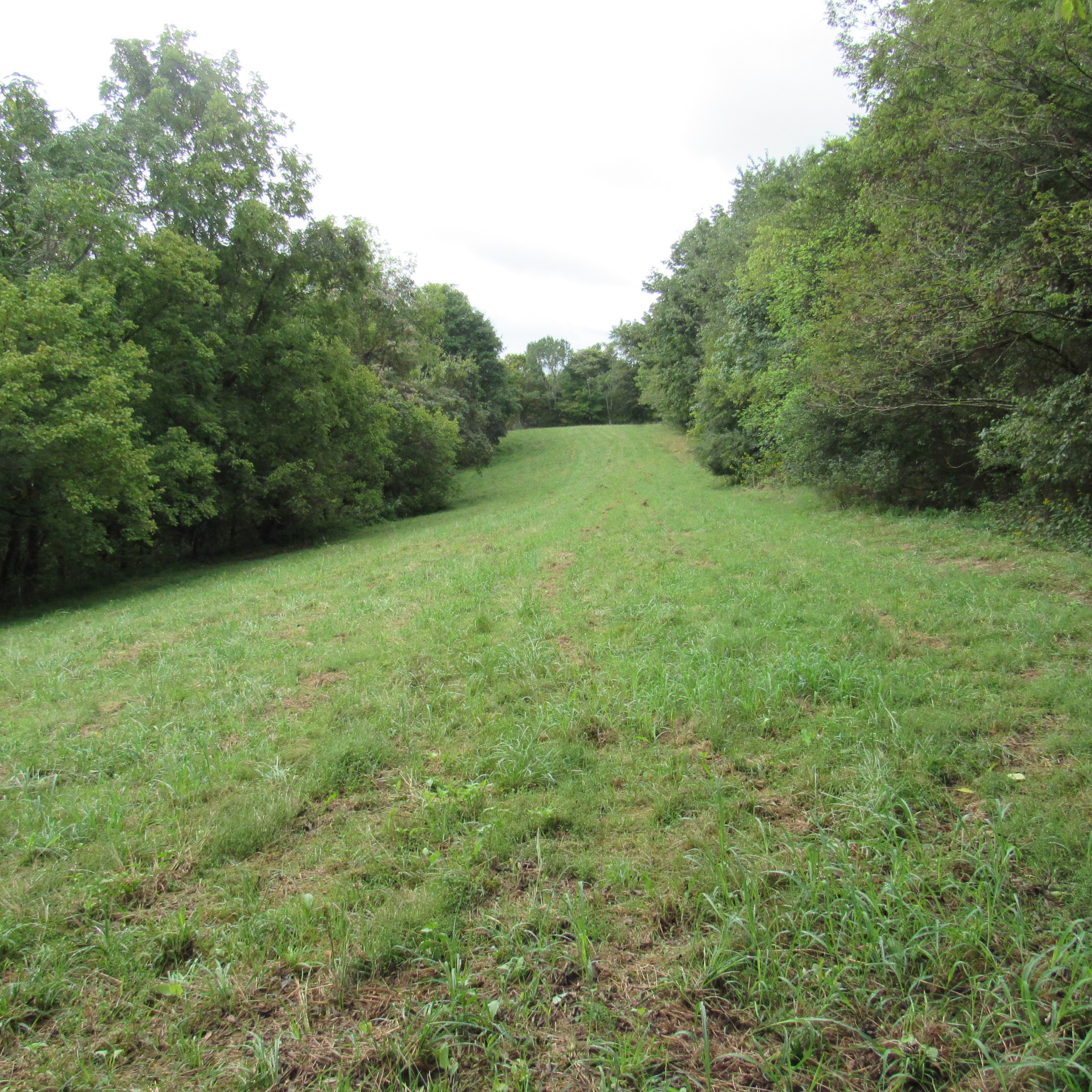 462 Pea Ridge Road Chestnut Mound, TN 38552 - Photo 14 of 14 Gallery Image 14