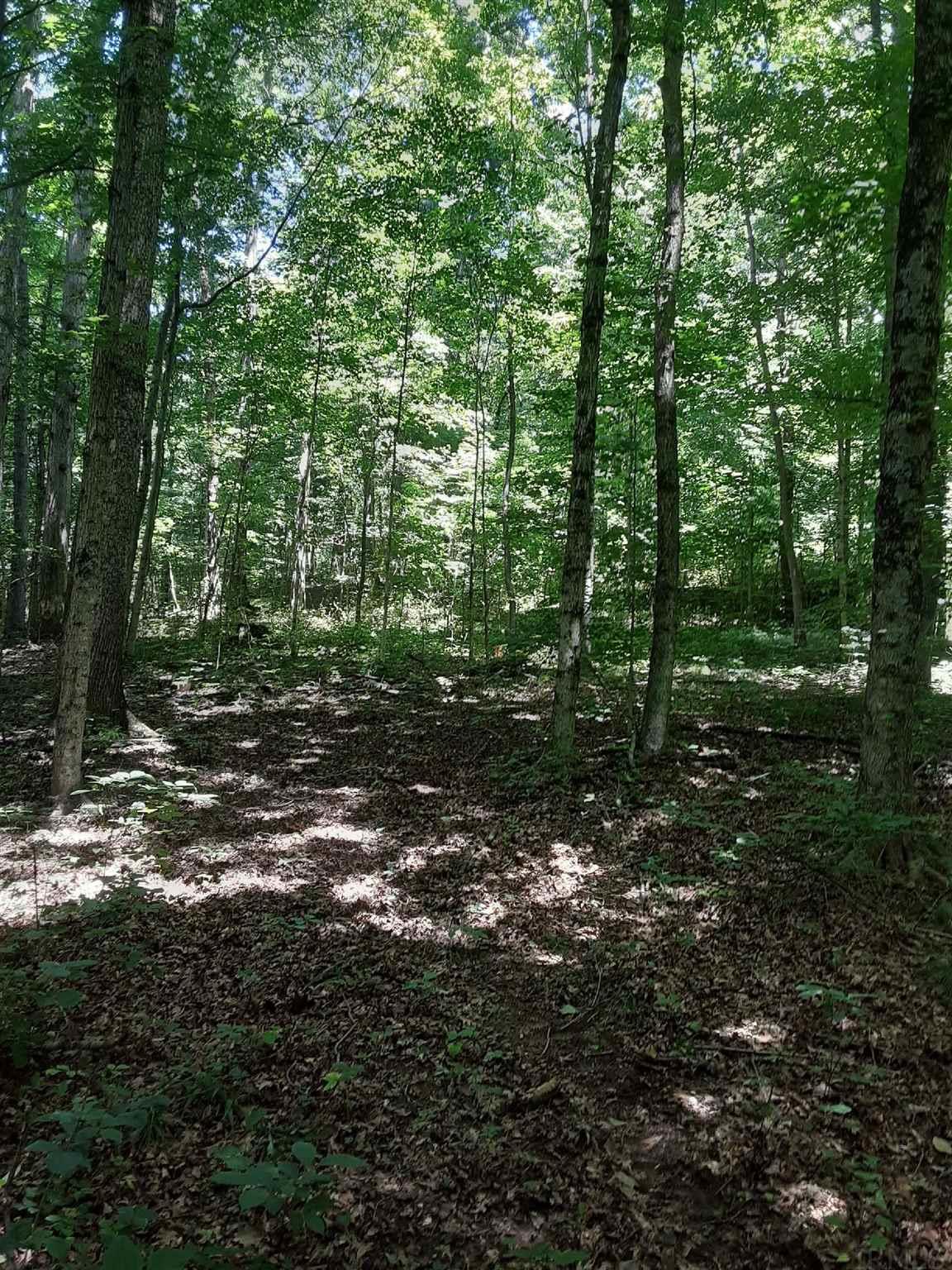 Dover Hill Road Loogootee, IN 47553 - Photo 3 of 16