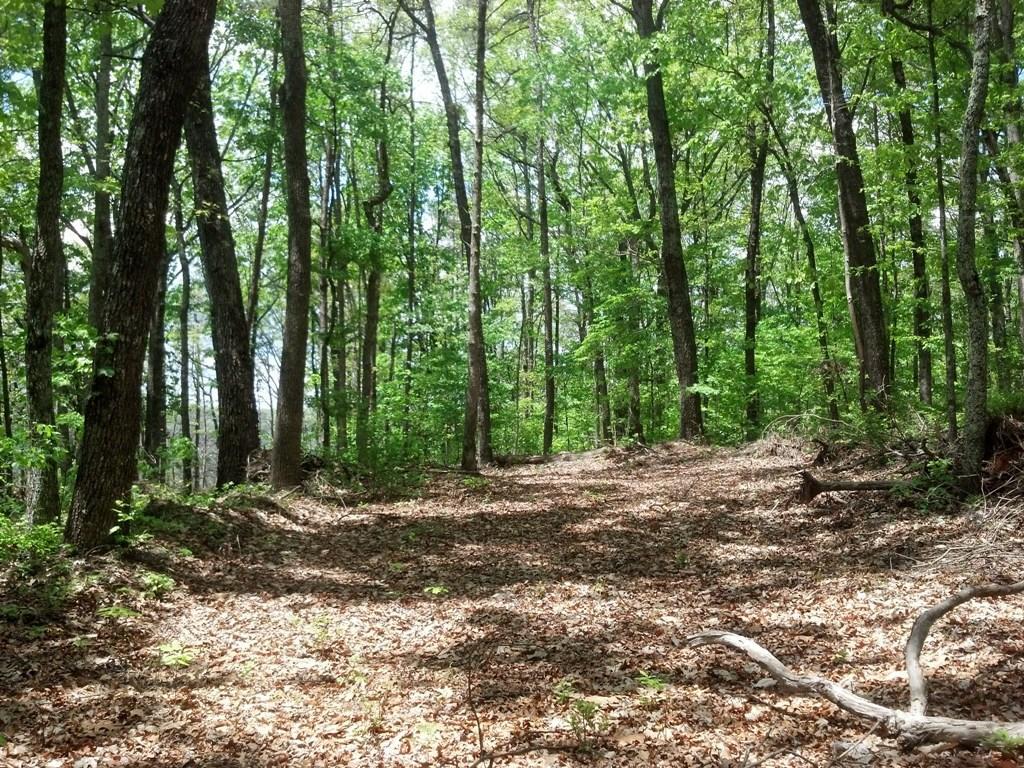 0 Sequatchie Mountain Road Sequatchie, TN 37374 - Photo 5 of 28 20160201175119313100000000-o