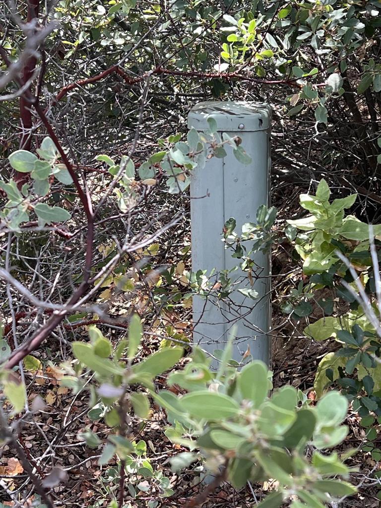 3885 Eagle Ridge Julian, CA 92036 - Photo 4 of 17 a plant that is sitting in a garden