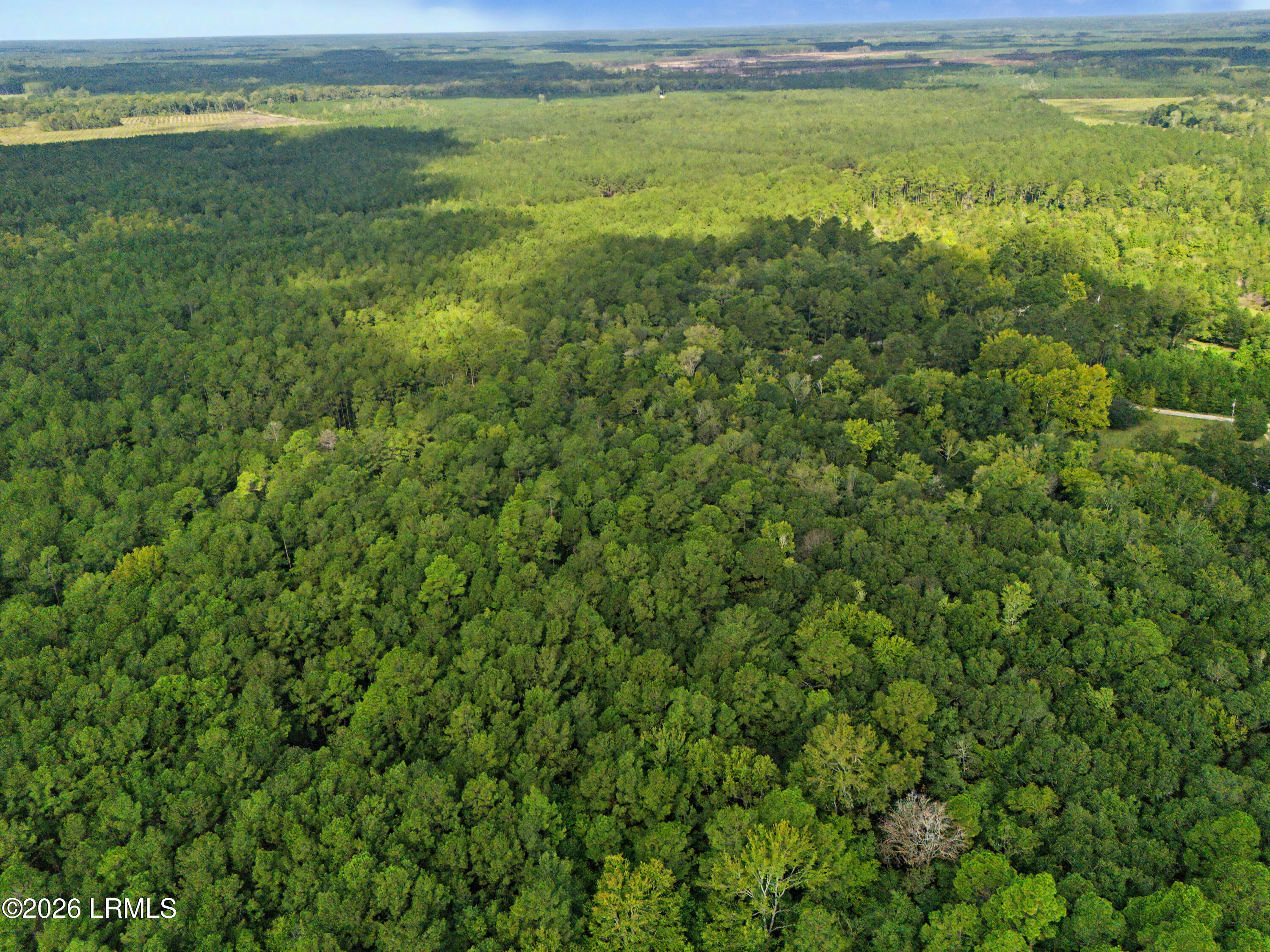 0 Tree Farm Road Walterboro, SC 29488 - Photo 18 of 30 DJI_20260921230021_0325_D