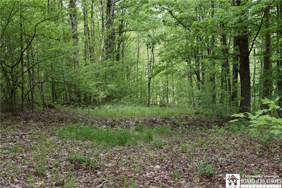 0 Harris Hollow Road Gerry, NY 14740 - Photo 13 of 23