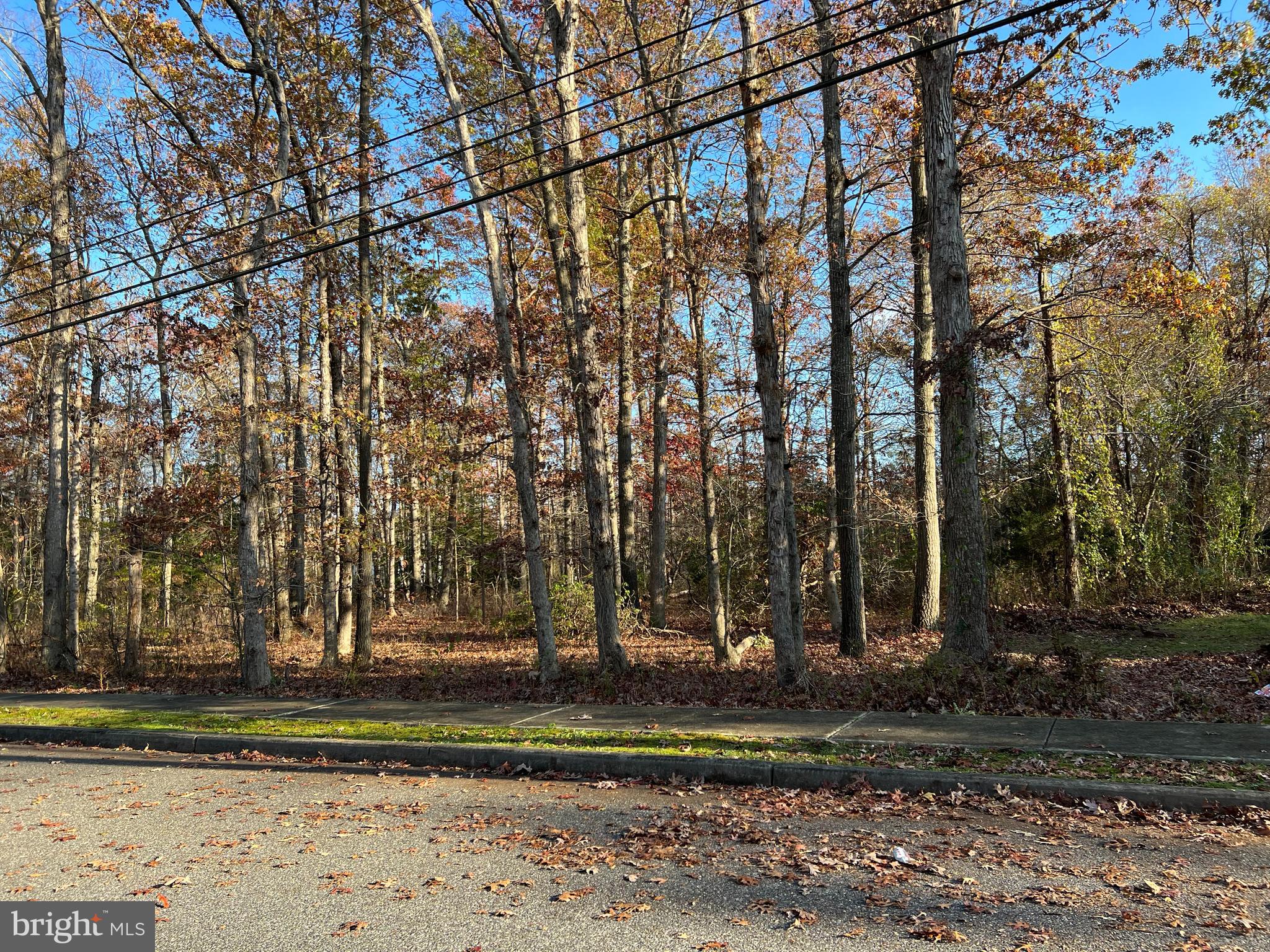 104 Harmon Road Woodbine, NJ 08270 - Photo 1 of 1