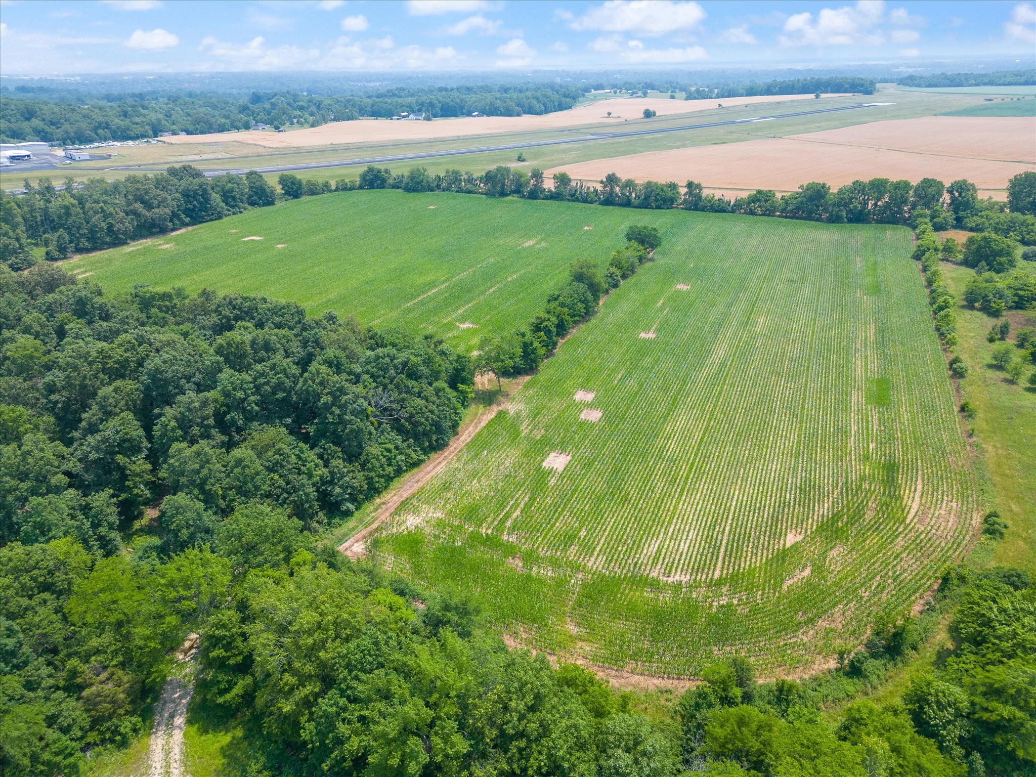 4302 Fykes Grove Road Cedar Hill, TN 37032 - Photo 2 of 10 a view of a lush green field with an ocean